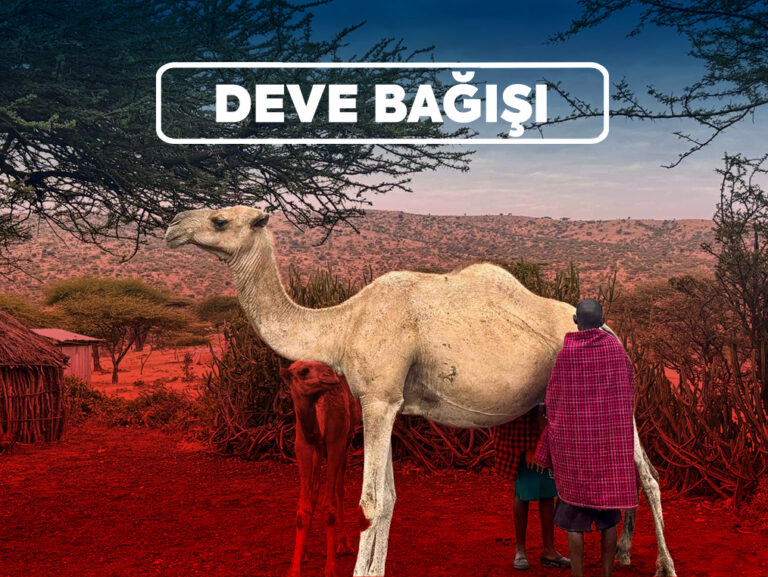 Deve Bağışı